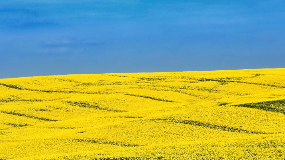 ukraine_landscape